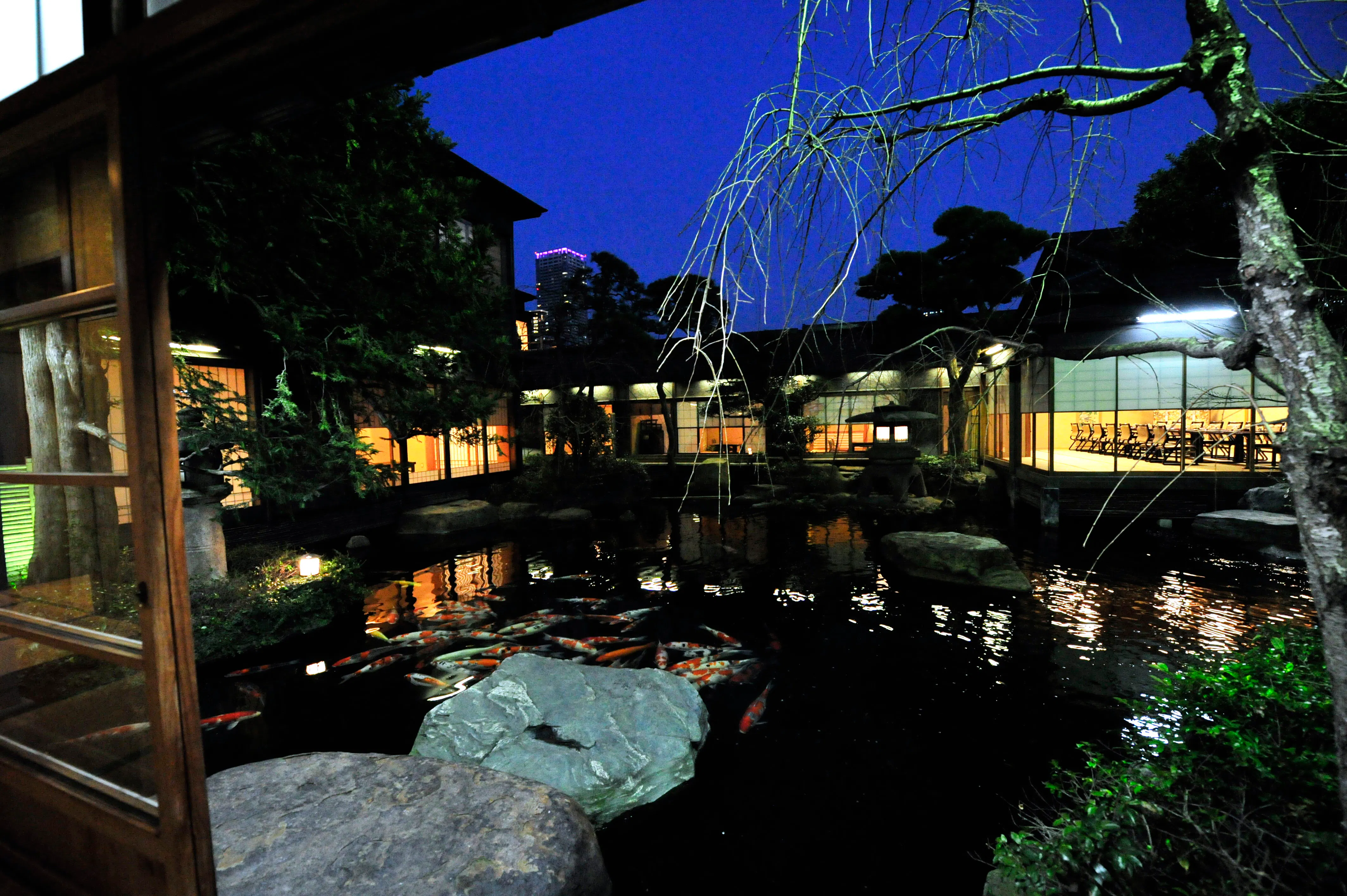 銀座の奥座敷 つきじ治作 を取材 日本庭園に囲まれた純和風料亭の魅力 Kiwamino