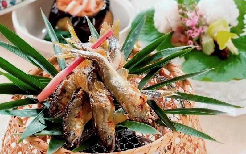 珍味入れ　緑交趾菊葉珍味入れ10客 珍味入れ 菊葉の珍味入れ10客