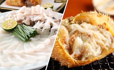 東京で冬の味覚に舌鼓！「カニ」と「ふぐ」を味わう名店特集 9選