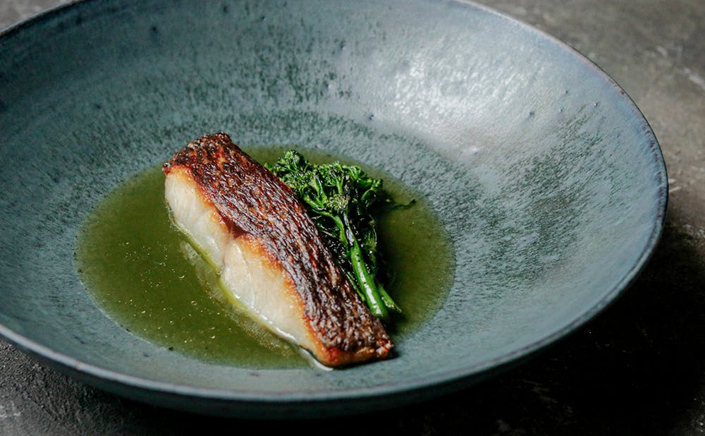 魚が主役のフレンチが食べられる東京のレストラン | KIWAMINO