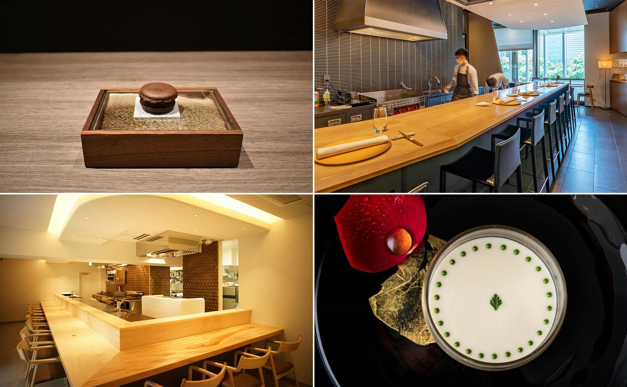 渋谷 代々木公園 Kiwamino