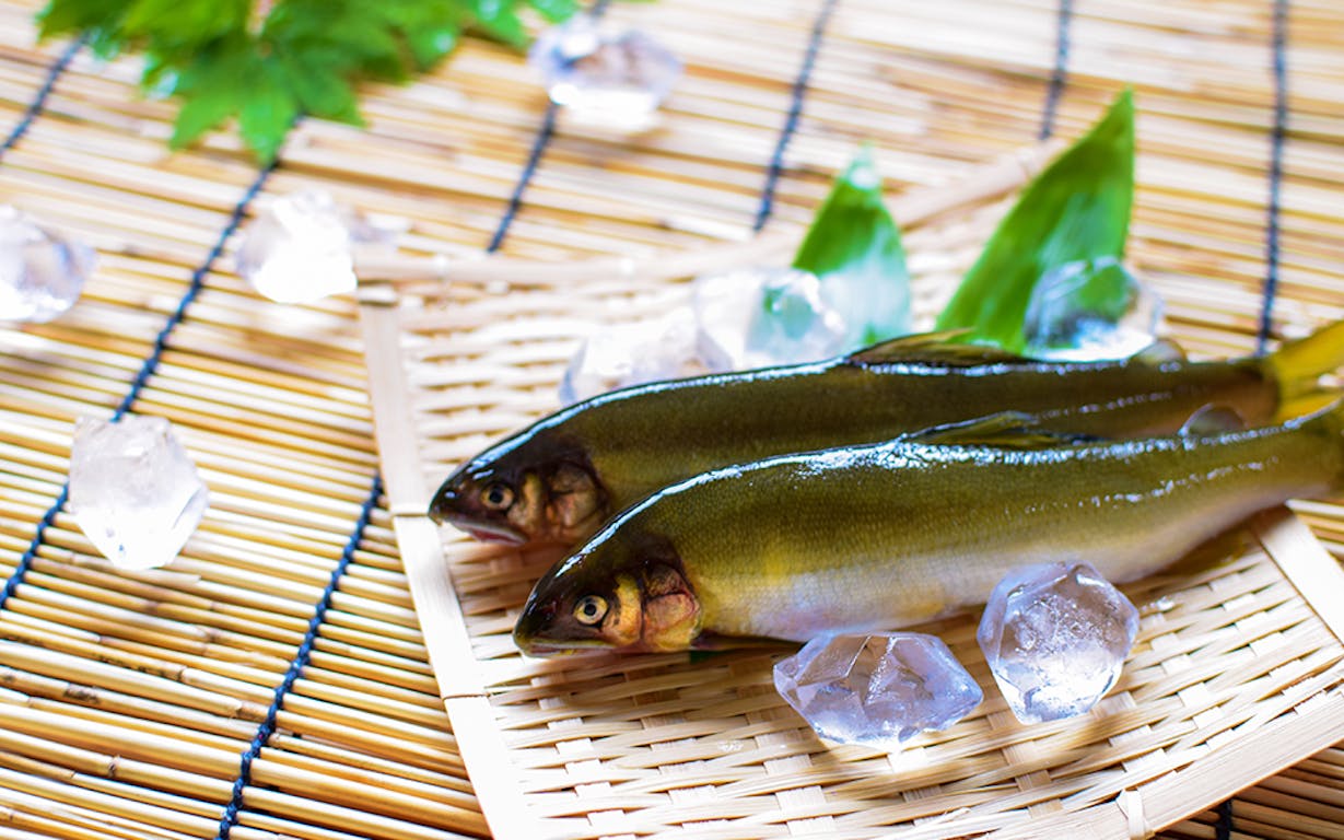 川魚の鮎