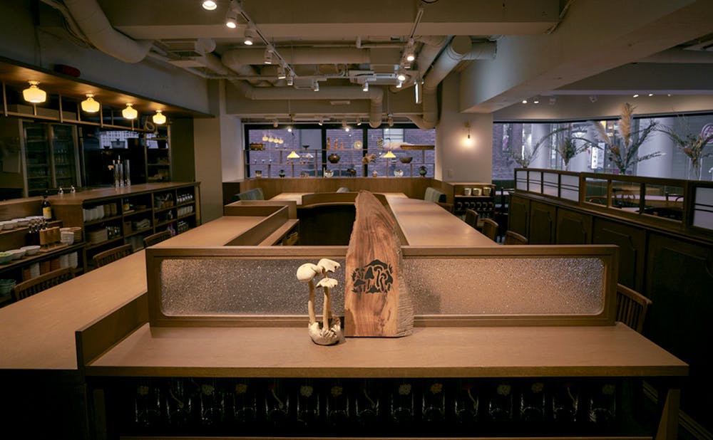 裏の山の木の子の店内