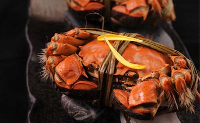 個室で上海蟹を楽しめる中華料理の名店　東京編